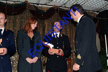 DSCF7482