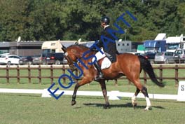 DSCF0376