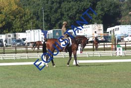 DSCF0394