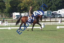 DSCF0402