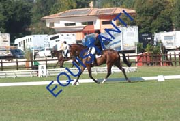 DSCF0413