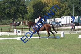 DSCF0422