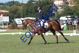DSCF0437