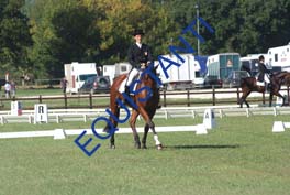 DSCF0454