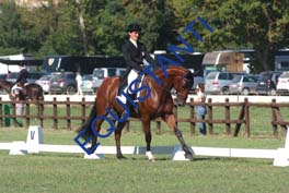 DSCF0462