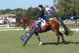DSCF0464