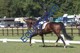 DSCF0472
