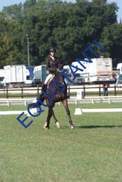 DSCF0477