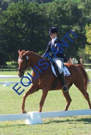 DSCF0539