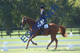 DSCF0544