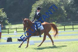 DSCF0547