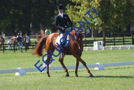 DSCF0551