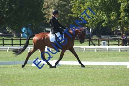 DSCF0558