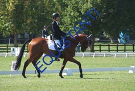 DSCF0562