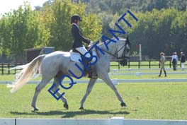 DSCF0576