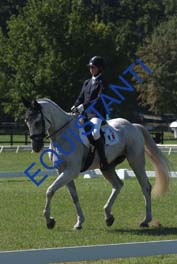 DSCF0579