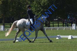 DSCF0582