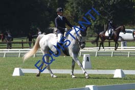 DSCF0584