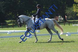 DSCF0587
