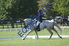 DSCF0590