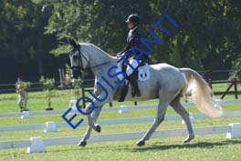 DSCF0591