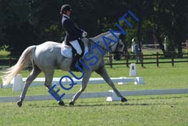DSCF0594
