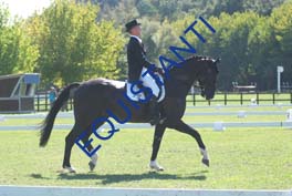 DSCF0646