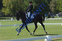 DSCF0648