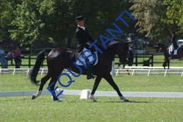 DSCF0653