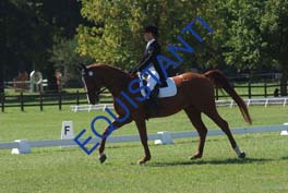 DSCF0675
