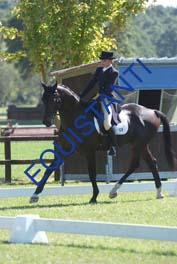 DSCF0687