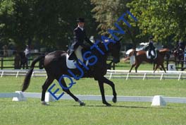 DSCF0699
