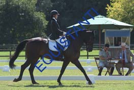 DSCF0771