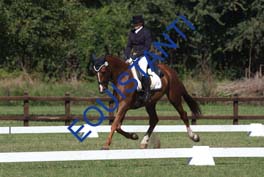 DSCF0778