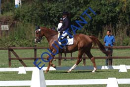 DSCF0789