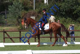 DSCF0796