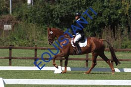 DSCF0839
