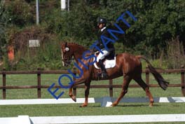 DSCF0842