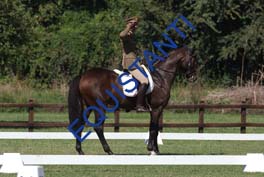 DSCF0857