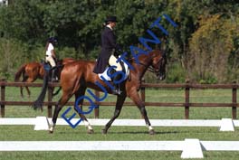 DSCF0907