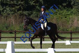 DSCF0936