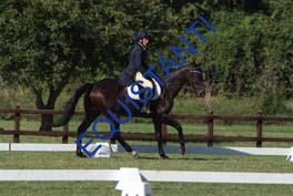 DSCF0943