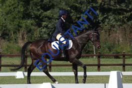 DSCF0947
