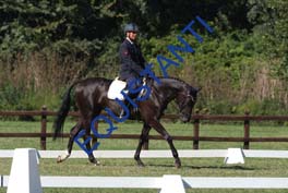 DSCF0952