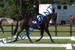 DSCF0957