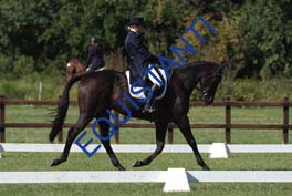 DSCF0958