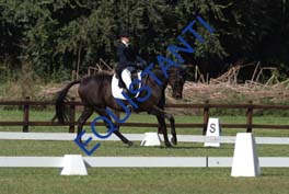 DSCF0964