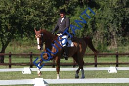 DSCF0970