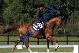 DSCF0979