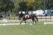 DSCF0484